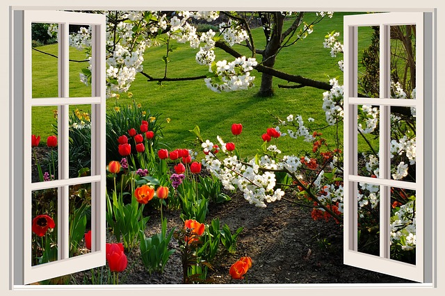 okno na zahradu